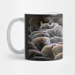 Sulphur Tuft Mushrooms with Fly Mug